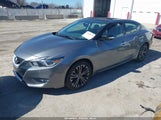 Nissan Maxima 3.5 Sl 1N4AA6AP2GC410264 снимка
