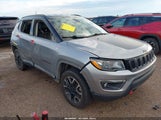 Jeep Compass Trailhawk 4X4 3C4NJDDB2LT171734 снимка