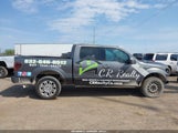 Ford F-150 Fx4/King Ranch/Lariat/Platinum/Xl/Xlt 1FTPW14V79FB40257 fotografie