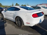 Ford Mustang Ecoboost 1FA6P8TH2H5323542 снимка