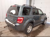 Ford Escape Xlt 1FMCU9DG5BKB25138 fotografie