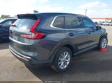 Honda Cr-V Ex-L Awd 7FARS4H78RE010630 fotografie