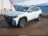 Hyundai Tucson Hybrid Blue KM8JBCD13RU210855 fotografie