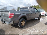 Ford F-150 Xlt 1FTFW1EF5DFC06820 снимка