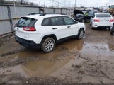 Miniaturka zdjęcia 4