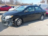 Toyota Corolla Le 2T1BU4EE4AC508021 снимка
