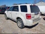 Ford Escape Limited 1FMCU04769KC31457 снимка