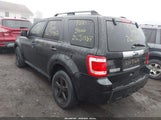 Ford Escape Xlt 1FMCU9DG2BKB38302 снимка