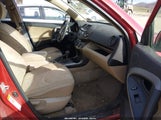 Toyota Rav4 JTMZF33VX95010646 снимка