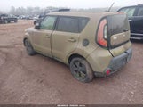 Miniaturka zdjęcia 3