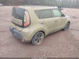 Miniaturka zdjęcia 4