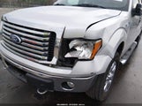 Ford F-150 Fx4/Lariat/Xl/Xlt 1FTFX1EV9AFD48961 fotografie