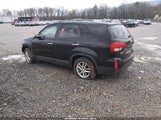 Miniaturka zdjęcia 3