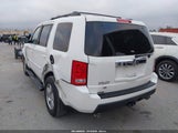 Honda Pilot Ex-L 5FNYF3H57BB016462 fotografie