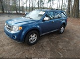 Ford Escape Xlt 1FMCU0D76AKA45406 снимка