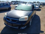 Chevrolet Malibu Maxx Ss 1G1ZW63116F137802 fotografie