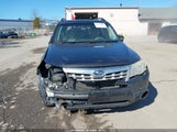 Subaru Forester 2.5X Premium JF2SHADC1DG419680 снимка