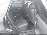Ford Focus Ses 1FAHP36N09W250048 fotografie
