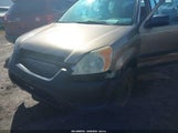 Honda Cr-V Lx SHSRD68413U101214 снимка