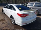 Hyundai Sonata Se 5NPE24AF6FH001806 снимка