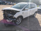 Ford Escape Titanium 1FMCU0JX2EUA67577 fotografie
