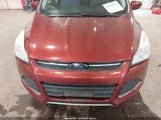 Ford Escape Se 1FMCU0GX0GUB88568 снимка