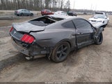 Ford Mustang V6 1FA6P8AM0H5290251 fotografie