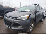 Ford Escape Titanium 1FMCU9JX0EUB68024 снимка
