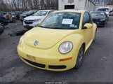 Volkswagen New Beetle 2.5 3VWRW31CX6M416849 fotografie
