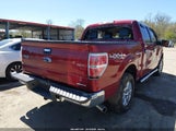 Ford F-150 Xlt 1FTFW1EFXDKF02360 снимка