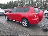 Toyota Rav4 Limited V6 JTMBK31V286030060 photo