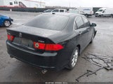 Acura Tsx JH4CL96848C021576 снимка