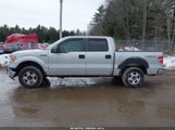Ford F-150 Xlt 1FTRW14899FB19302 снимка