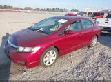 Honda Civic Lx 2HGFA1F59AH554569 снимка