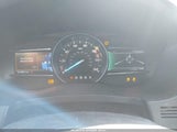 Miniaturka zdjęcia 7