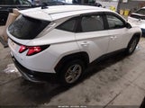 Hyundai Tucson Se 3KMJACDE9SE015175 снимка