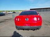 Ford Mustang Gt Premium 1ZVBP8CFXB5157637 снимка