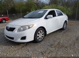 Toyota Corolla Le JTDBL40E89J037436 снимка