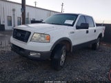 Ford F-150 Fx4/Lariat/Xlt 1FTPW14565FA65416 fotografie