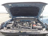 Ford Bronco Wildtrak 1FMEE2BPXRLA60050 снимка