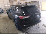 Ford Escape Se Hybrid 1FMCU9BZ5NUA10746 fotografie