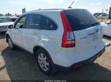 Honda Cr-V Ex-L JHLRE487X9C004525 photo