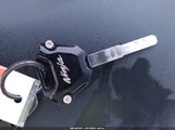 Miniaturka zdjęcia 11