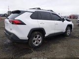 Toyota Rav4 Xle 2T3P1RFV8MW229711 снимка