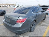 Miniaturka zdjęcia 4