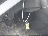 Miniaturka zdjęcia 11
