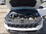Jeep Compass Trailhawk 4X4 3C4NJDDN5RT609391 снимка