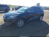 Ford Escape Se 1FMCU9G67MUA31935 fotografie
