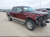 Ford F-150 Fx4/Harley-Davidson/King Ranch/Lariat/Platinum/Xl/Xlt 1FTFW1EV4AFD24893 снимка