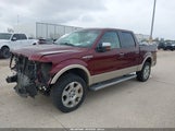 Ford F-150 Fx4/Harley-Davidson/King Ranch/Lariat/Platinum/Xl/Xlt 1FTFW1EV4AFD24893 fotografie